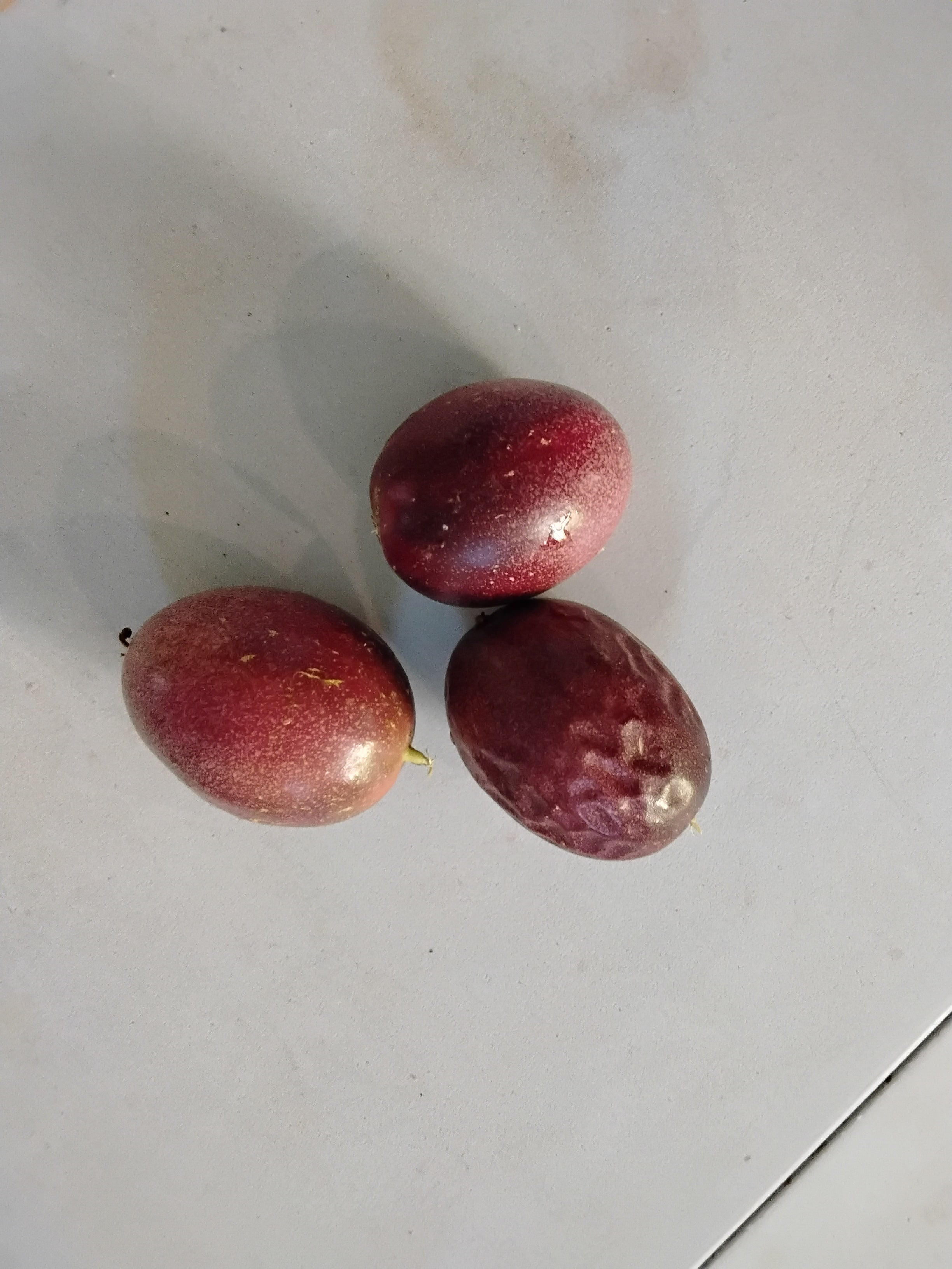 1 Pound Organic passion fruits, Food Forest Resort Produce