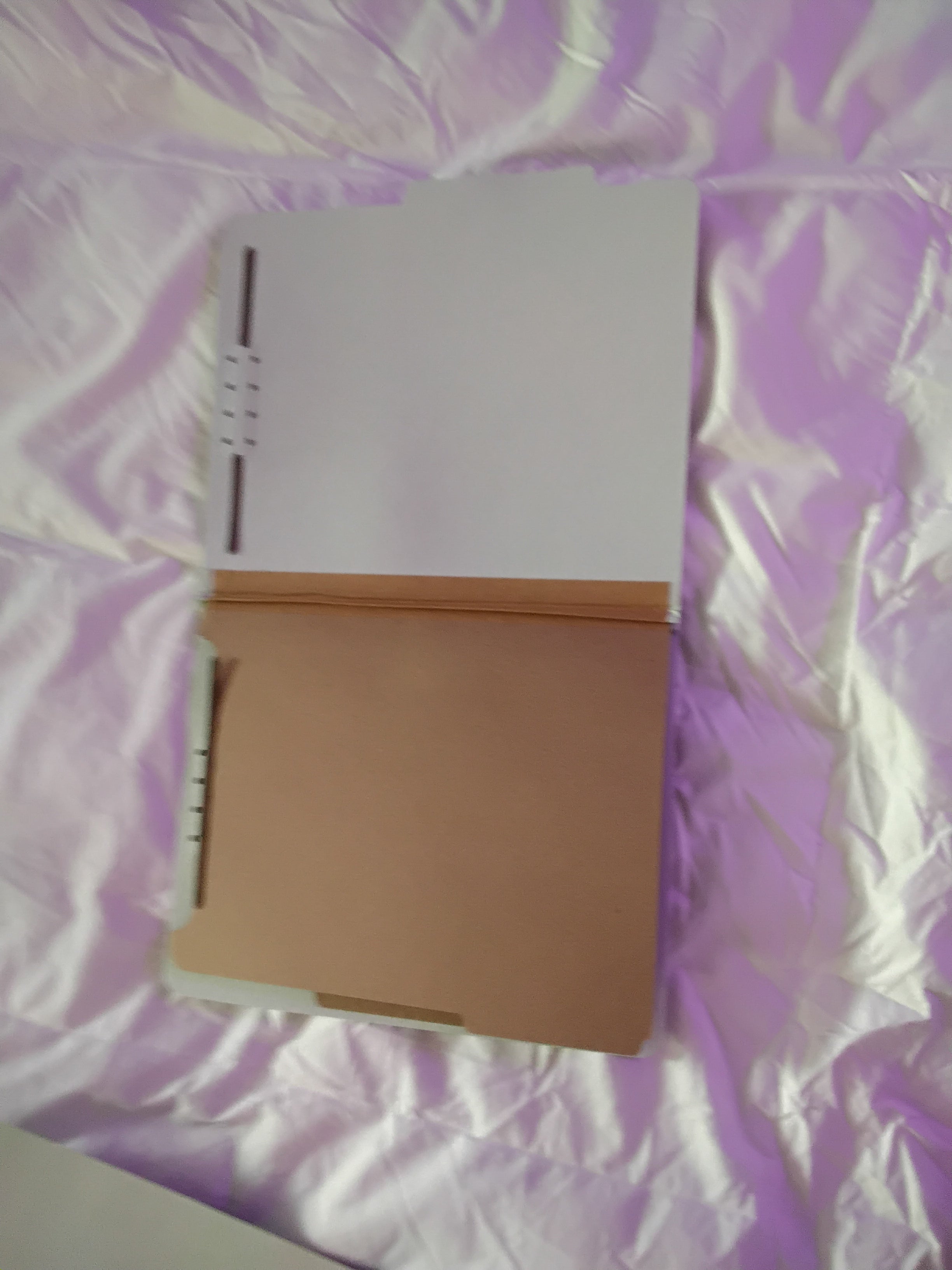 File Folder With Two Dividers, new other