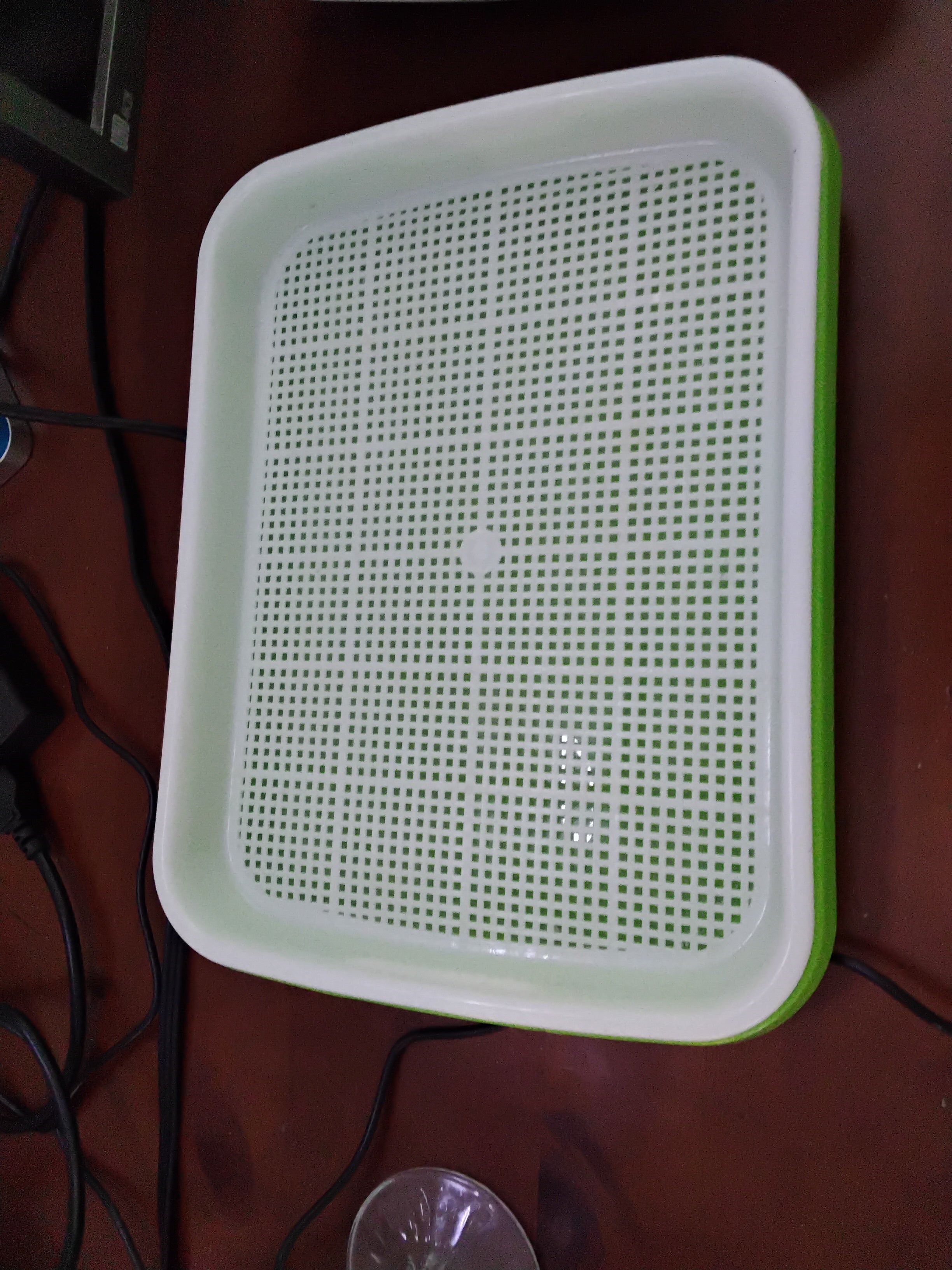 microgreen growing trays, Mint