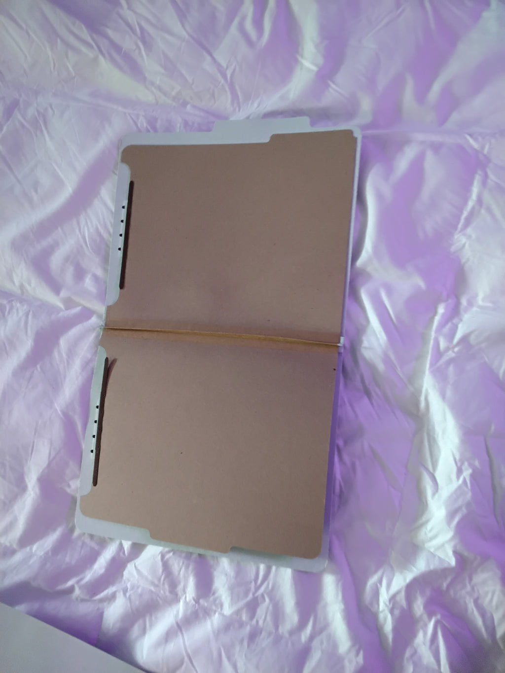 File Folder With Two Dividers, new other
