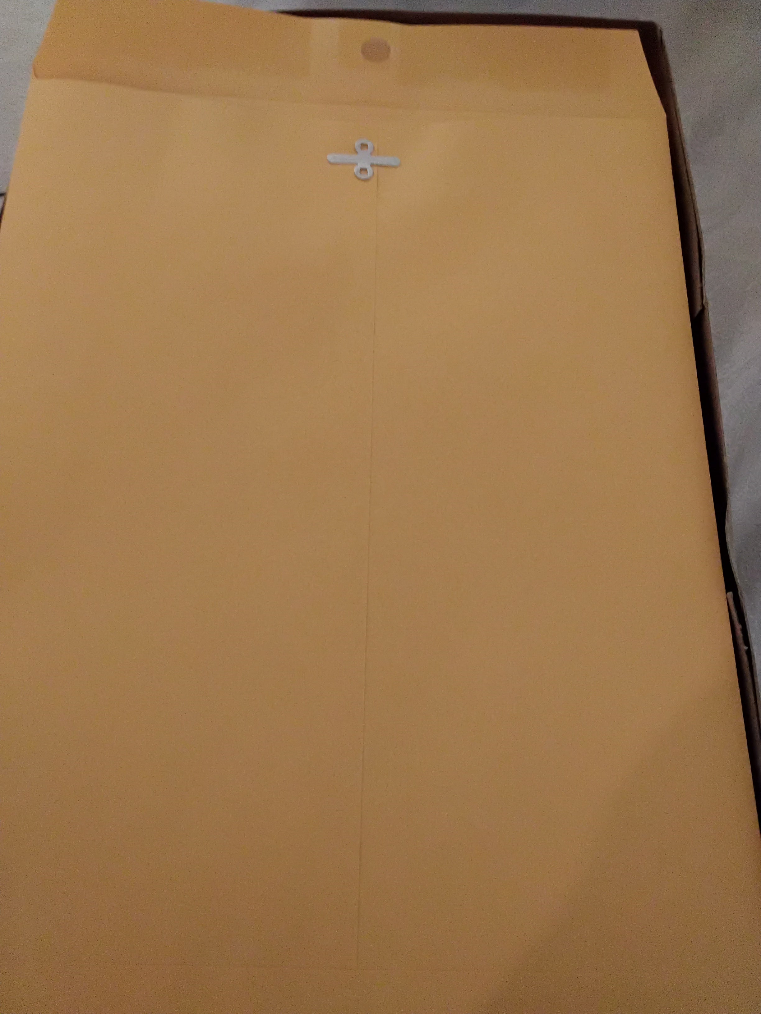 9 x 12 envelopes, 10 Pack, New
