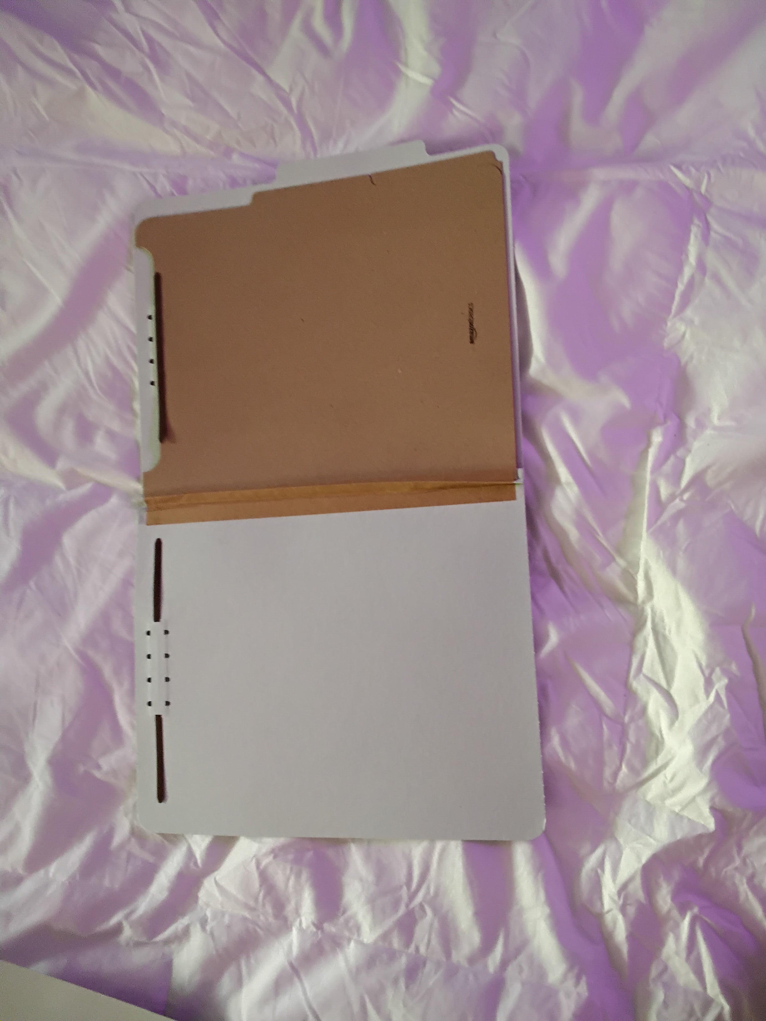 File Folder With Two Dividers, new other